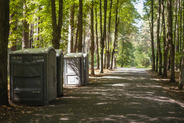 Best High-end porta potty rental  in Coaldale, PA